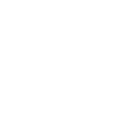 Aspen Polystyrene Industry LLC